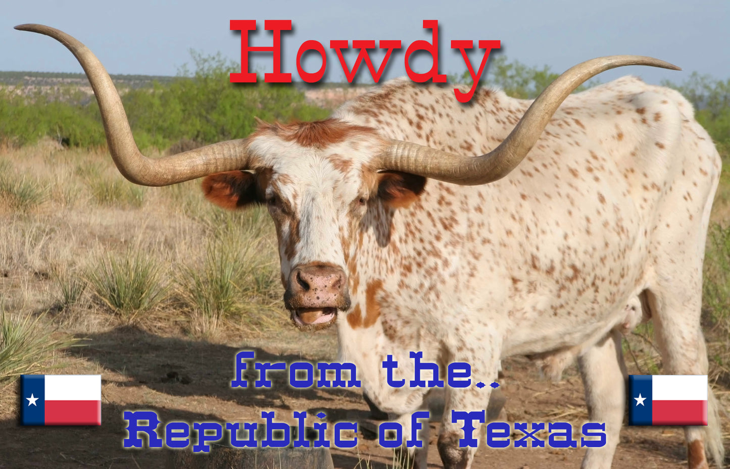 Texas, Texas Collectible, Texas Magnet, Texas Longhorn, Texas Souvenir, Fridge Magnet