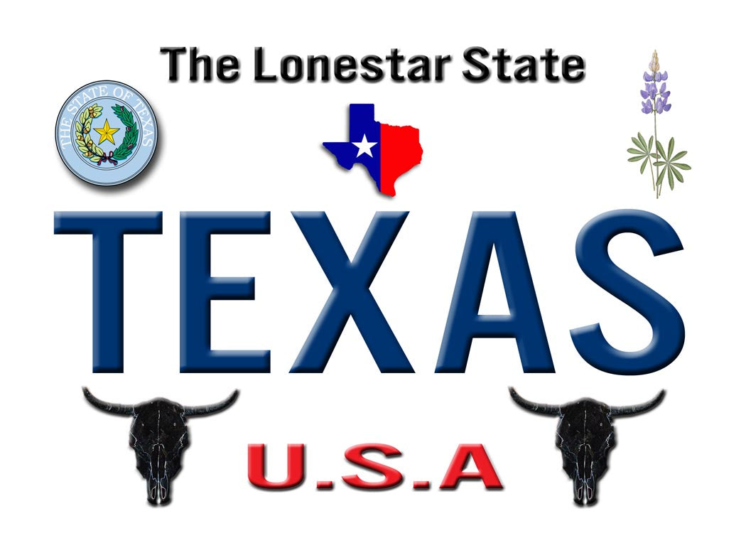 Texas Fridge Magnet with Texas Graphics