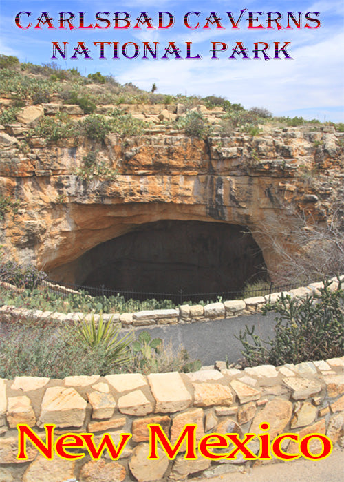 Carlsbad Caverns Natl. Park New Mexico Fridge Magnet