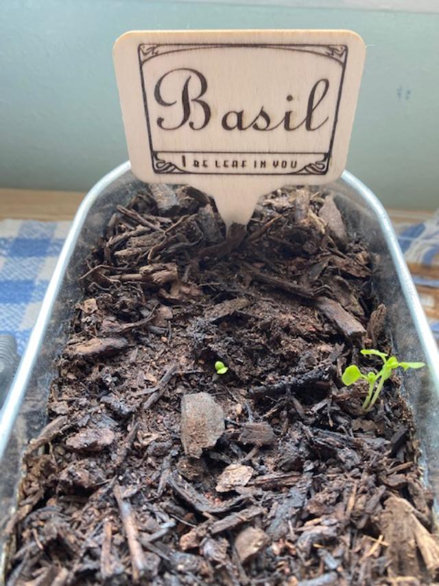 Laser Engraved Plant Stakes to identify plants