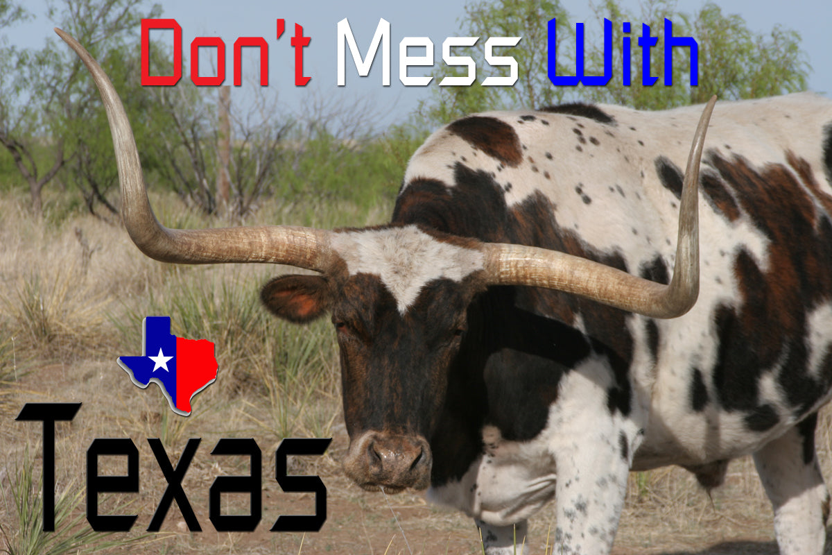 Texas, Texas Magnet, Texas Souvenir, Longhorn, Texas Longhorn