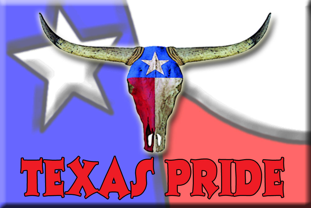 Texas Magnet, Texas Pride, Travel Magnet, Texas Souvenir