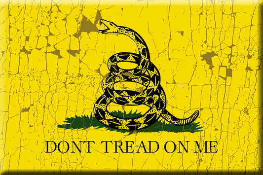 Dont Tread on Me, Fridge Magnet, America, Historical Design, Dont Tread Snake, 1776