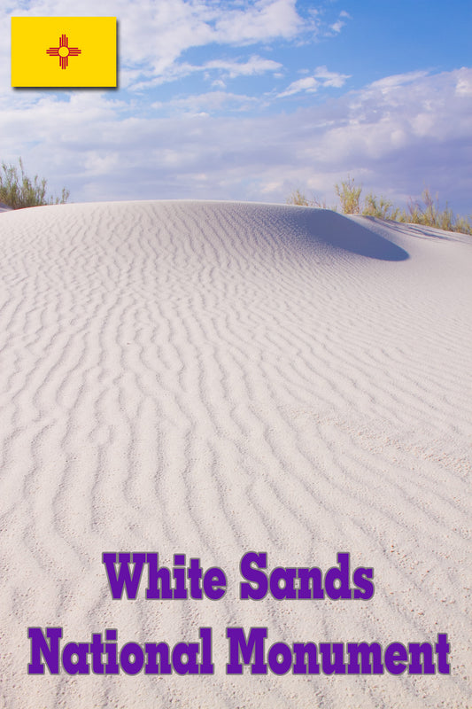 White Sands Fridge Magnet