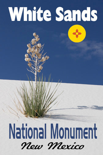 Fridge Magnet Featuring an image of White Sands Natl. Moinument near Alamogordo, NM